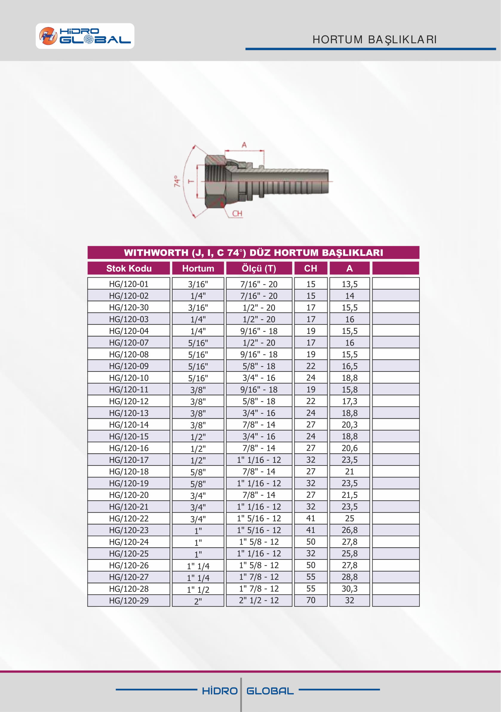 WITHWORTH J I C 74 DÜZ HORTUM BAŞLIKLARI